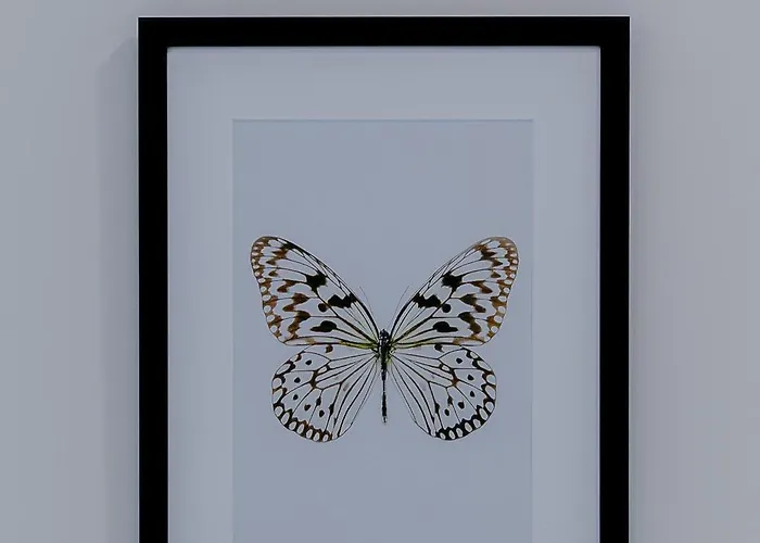 Lejlighed Business-class 2 X Free Parking X Self Check In 24x7 *