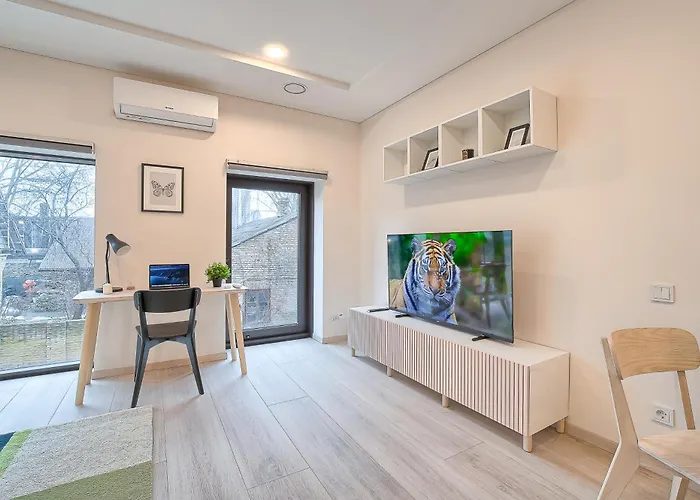 Apartment Business-class 2 X Free Parking X Self Check In 24x7 Wilna